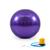 Bola Suiça Pilates Yoga Advance 55cm Com Bomba de Encher Gold Sports Roxo