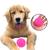 Brinquedo Cachorro Bolinha Maciça E Cravo Para Cão Peq 45mm  Rosa