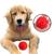 Brinquedo Cachorro Bolinha Maciça E Cravo Para Cão Peq 45mm  Vermelho