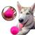 Brinquedo Cachorro Bolinha Maciça E Lisa Para Cães 70mm  Rosa