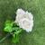 Buquê De Flores Artificiais Rosas Realistas Para Decoração Branco