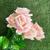 Buquê De Flores Artificiais Rosas Realistas Para Decoração Rosa chá