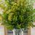 Buquê De Folhagem Com Semente Artificial Para Vasos Florzinhas 4