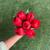 Buquê De Tulipas Casamento Noiva Decoração Arranjo De Flores Vermelho