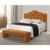 Cabeceira Cama Box Casal Tamanho 1,60 Estofada Veneza com Framer Veludo Terracota  BEGE