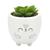 Cachepot vaso vasinho com suculenta plantinha animais Ouriço