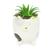 Cachepot vaso vasinho com suculenta plantinha gatos Cinza