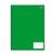 Caderno de brochura Grande capa dura com 96 folhas 200mm x 275mm Verde