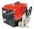 Caixa De Transporte Cães Gato Pet Grande Porte Número 4 Vermelho