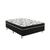 Cama Box Conjugado Casal OrtopAdic Ortobom Platinum Rifletti 138X188X42 cm Branco com Preto