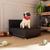 Cama Box Pet Cão e Gato Porte Menor 60 cm Laila - Várias Cores - JM Casa dos Móveis  Marrom