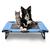 Cama De Cachorro Médio Suspensa Elevada Ortopédica Ergonomica Tamanho M Paws Dobravel Portatil Resistente Com Tela Pet Caminha Para Cão e Gato Cores Azul 