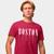 Camisa Camiseta Genuine Grit Masculina Estampada Algodão 30.1 Boston Vinho