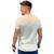 Camiseta aeropostale manga curta masculina ref: aer87901250 Cru