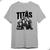 Camiseta Básica Tumblr Vintage Titãs Encontro Fã Show Brasil Cinza mescla