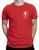 Camiseta Fisioterapia,masculina,básica,100% algodão,estampada Vermelho logo