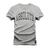 Camiseta T-Shirt Algodão Premium 30.1 Absolute Cinza