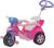 Carrinho De Passeio Ou Pedal Triciclo Baby Trike Evolution - Biemme Rosa