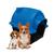 Casinha Pet Iglu para Cachorro de Porte Pequeno e Médio Azul
