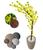 Cerejeira Amarela Com Galho Curvo Planta Artificial Com Vaso De Decoração 3D Bege