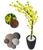 Cerejeira Amarela Com Galho Curvo Planta Artificial Com Vaso De Decoração 3D Preto