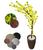 Cerejeira Amarela Com Galho Curvo Planta Artificial Com Vaso De Decoração Coluna Marrom
