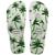 Chinelo Havaianas Aloha Fc Masculino Verde agua