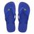 Chinelo Havaianas Brasil Unissex Azul