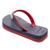 Chinelo Havaianas Dual Masculino Marinho