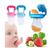 Chupeta Alimentadora Pimpolho Infantil Silicone Porta Frutas e Legumes Rosa