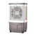 Climatizador de Ar Zellox ZLX-30 100W 30 Litros Marrom e Branco