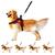 Coleira De Cachorro Grande Médio E Pequeno Porte Peitoral Americano Com Alça + Guia Para Cães Rottweiler Husky VERMELHO