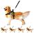 Coleira De Cachorro Grande Médio E Pequeno Porte Peitoral Americano Com Alça + Guia Para Cães Rottweiler Husky MILITAR