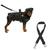 Coleira De Cachorro Grande Médio E Pequeno Porte Peitoral Com Alça E Guia + Cinto De Segurança Pet Para Cães PRETO