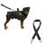 Coleira De Cachorro Grande Médio E Pequeno Porte Peitoral Com Alça E Guia + Cinto De Segurança Pet Para Cães MILITAR