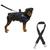 Coleira De Cachorro Grande Médio E Pequeno Porte Peitoral Com Alça E Guia + Cinto De Segurança Pet Para Cães AZUL