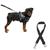 Coleira De Cachorro Grande Médio E Pequeno Porte Peitoral Com Alça E Guia + Cinto De Segurança Pet Para Cães ESTAMPA