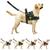 Coleira Peitoral Para Cachorro Pet Com Bolso Guia Ajustável Reforçada Confortável Pitbull Golden Doberman MILITAR