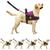 Coleira Peitoral Para Cachorro Pet Com Bolso Guia Ajustável Reforçada Confortável Pitbull Golden Doberman PINK