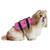Colete Salva-Vidas Para Cães Pequeno Porte Ajustável Aquático Praia Piscina Banho  Rosa