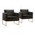 Conjunto - 2 Poltronas Apolo Luxo Base Bronze Castellar Veludo Preto