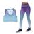 Conjunto Academia Legging Feminina Top Cropped Fitness Treino Ginástica Musculação Roxo azul