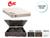 Conjunto Cama Box Baú King + Colchão Castor de Molas Premium Tecnopedic 193x203x72 - Resistente - Alta Durabilidade Corino Marrom