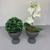 Conjunto de dois Vasos taça na cor cinza com planta Cinza