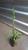coroa de cristo Euphorbia milii de flores pequenas Vermelho
