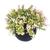 decoração planta artificial decorativas vaso vasinho flor A VA7006_rs