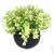 decoração planta artificial decorativas vaso vasinho flor A VA7006_vdc