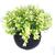 decoração plantas artificiais decorativas vaso vasinho falsa flor VA7006_vdc