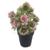 decoração plantas artificiais decorativas vaso vasinho falsa flor VA7088_rs