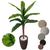 Dracena Planta Artificial Muda Variegata Vaso Decorção Coluna Marrom